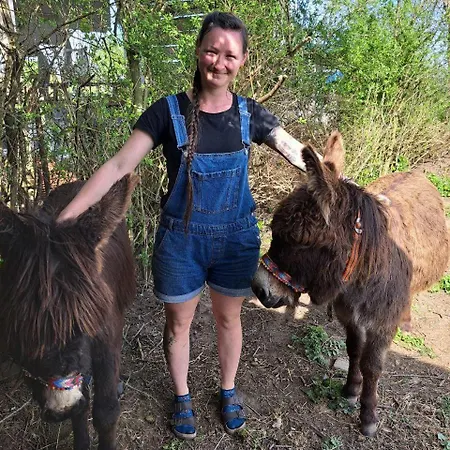 100 M3 Offenes Dachgeschoss Iris Urlaub Auf Dem Bauernhof * Auhausen (Donau-Ries)
