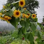 Romantische Bauernhof, 100m2 Offenes Dachgeschoss * Auhausen (Donau-Ries)